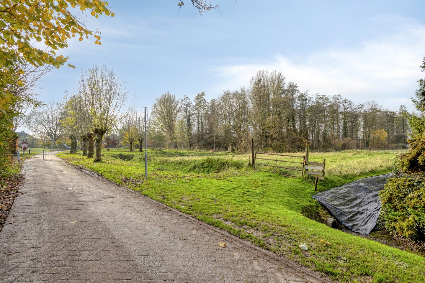 Foto 35 van Hoge Hofstraat 3