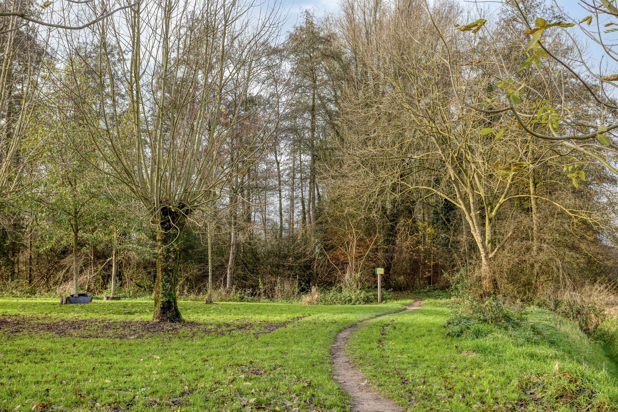 Foto 36 van Hoge Hofstraat 3