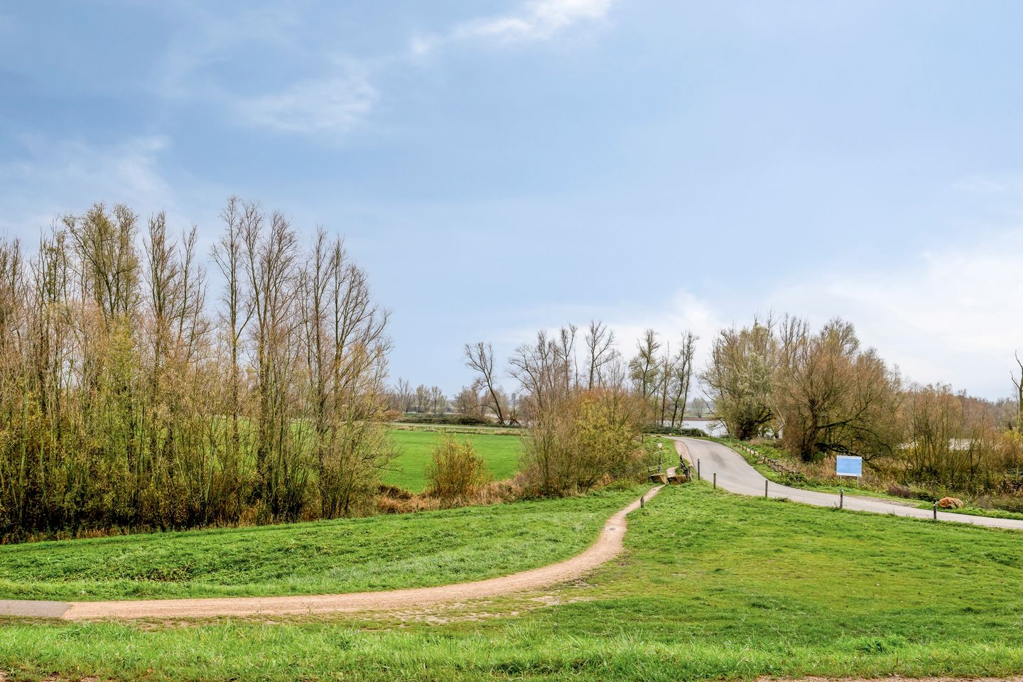 Foto 40 van Hoge Hofstraat 3