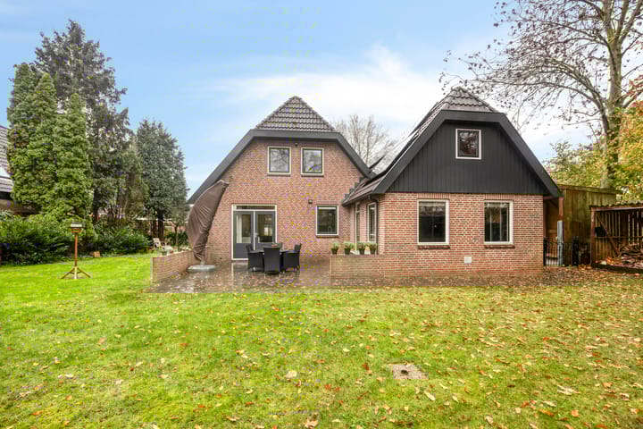 Foto 2 van Leeuwetand 1