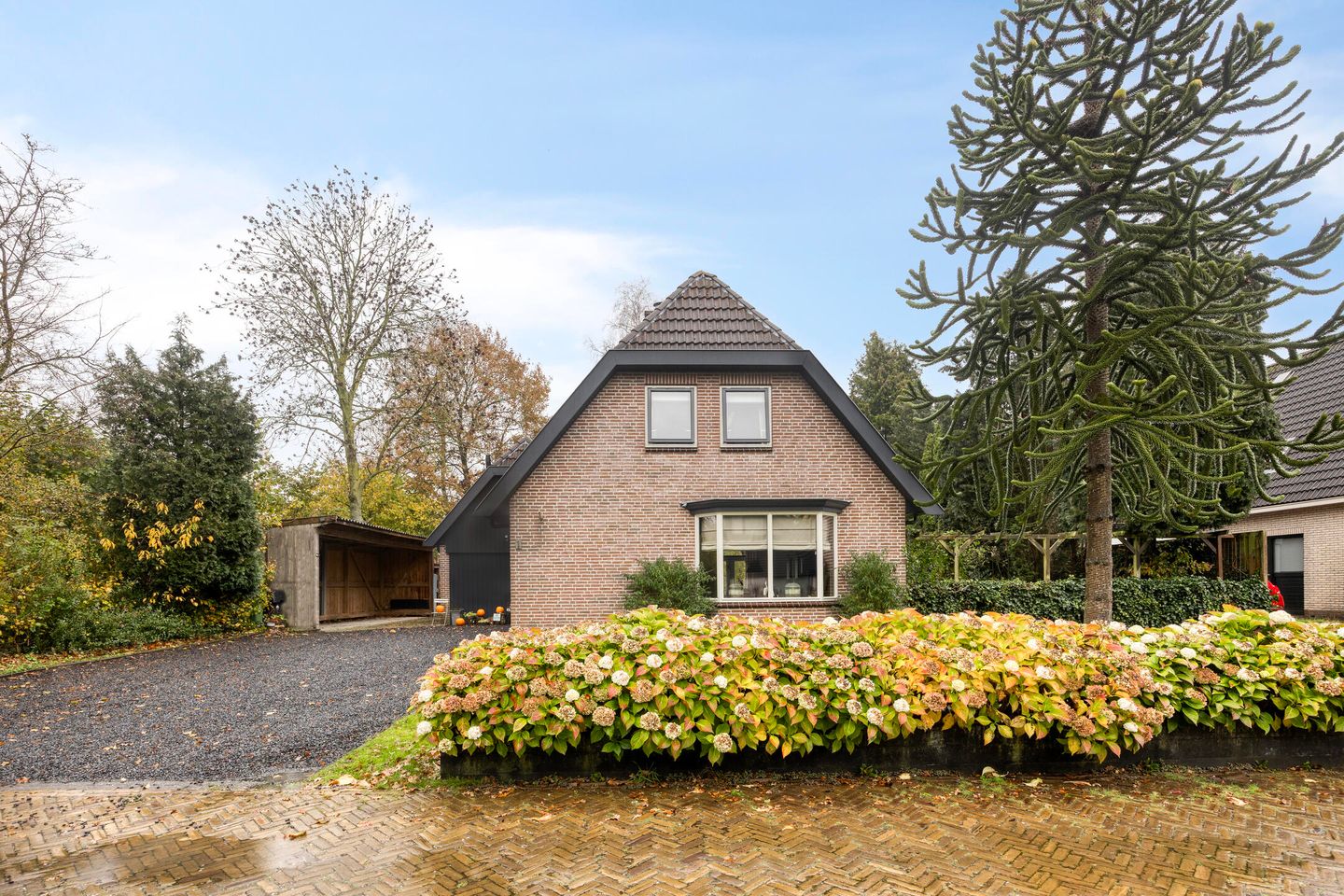 Foto 4 van Leeuwetand 1