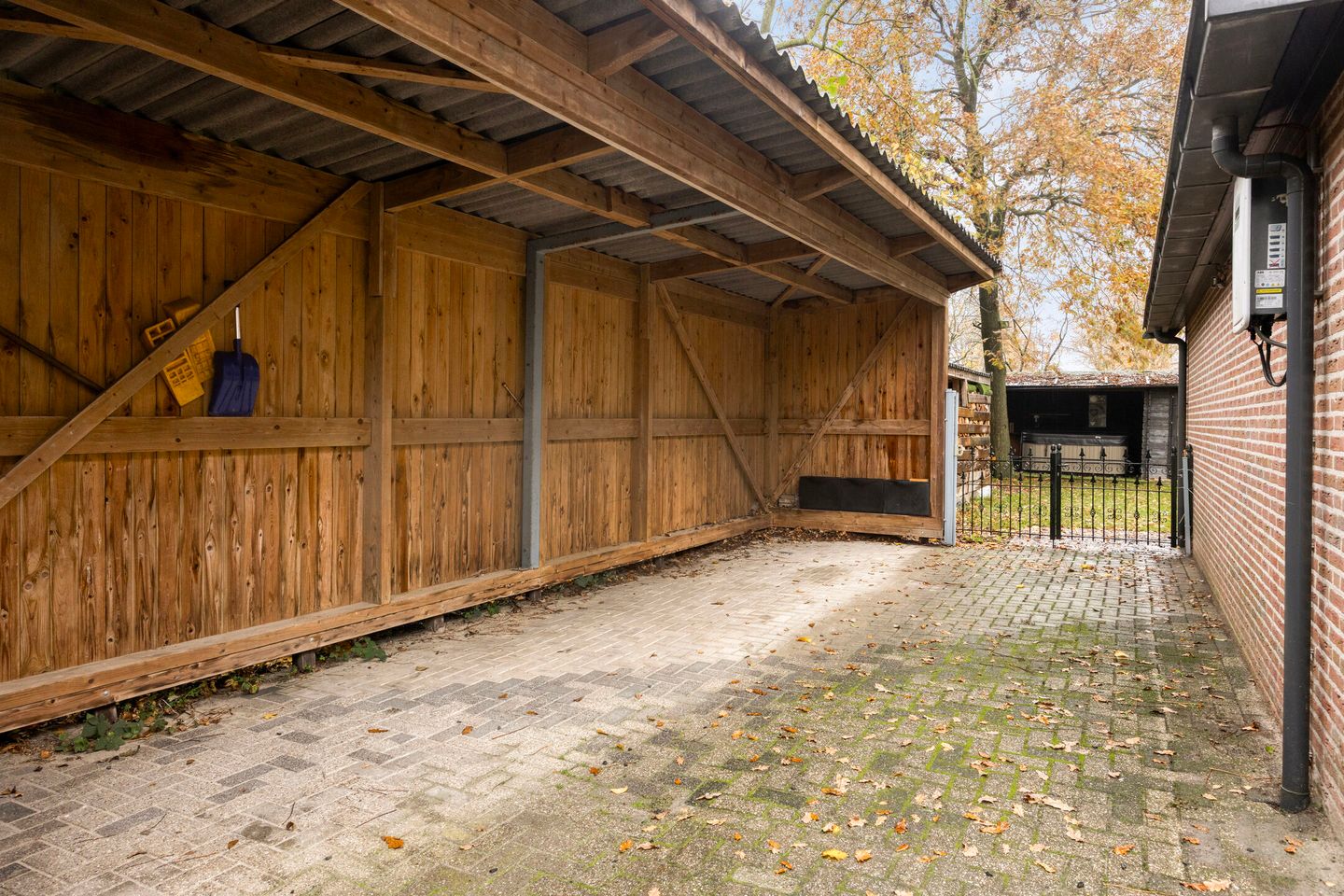 Foto 5 van Leeuwetand 1