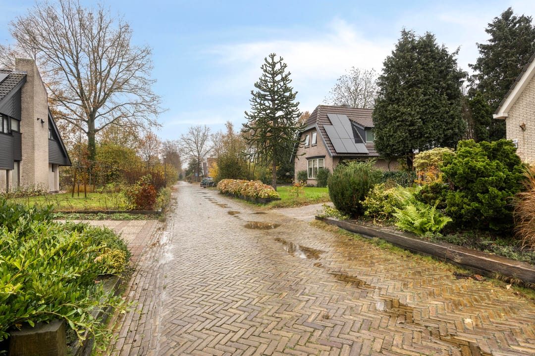 Foto 7 van Leeuwetand 1