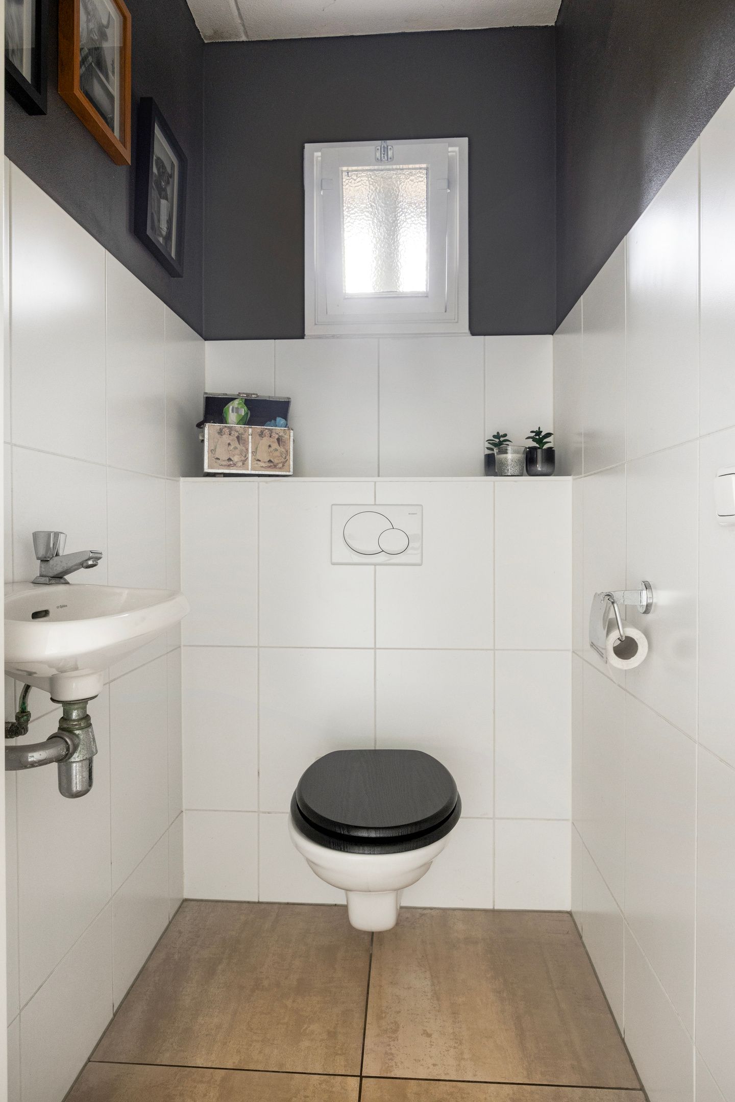 Foto 9 van Leeuwetand 1