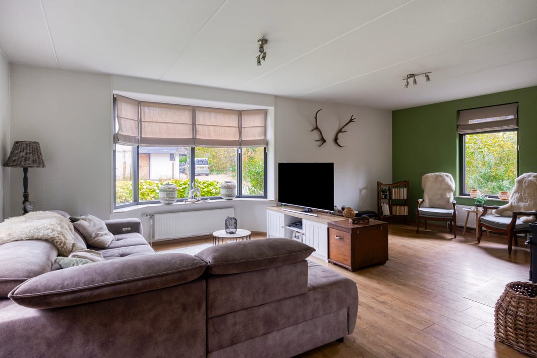 Foto 11 van Leeuwetand 1