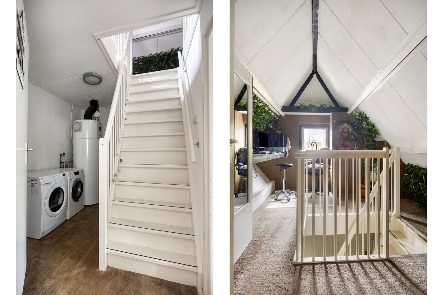 Foto 19 van Leeuwetand 1