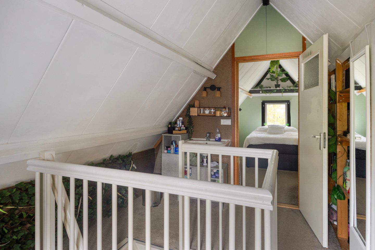 Foto 20 van Leeuwetand 1