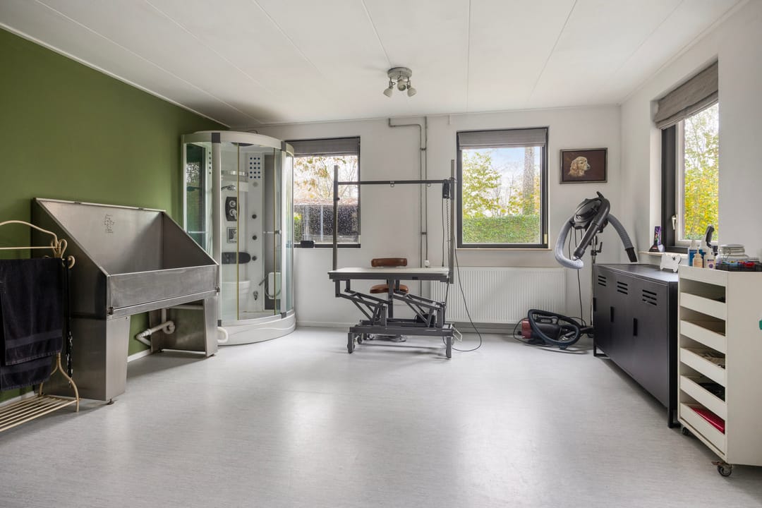 Foto 22 van Leeuwetand 1