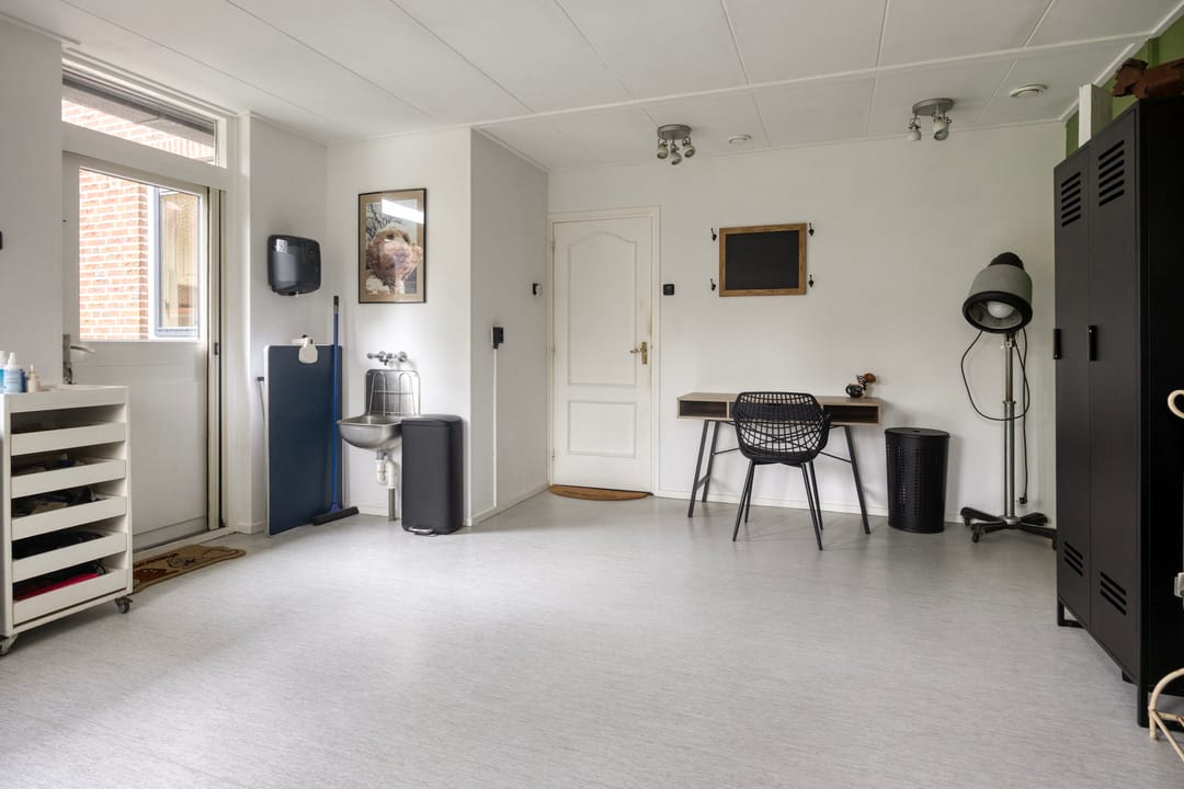 Foto 23 van Leeuwetand 1