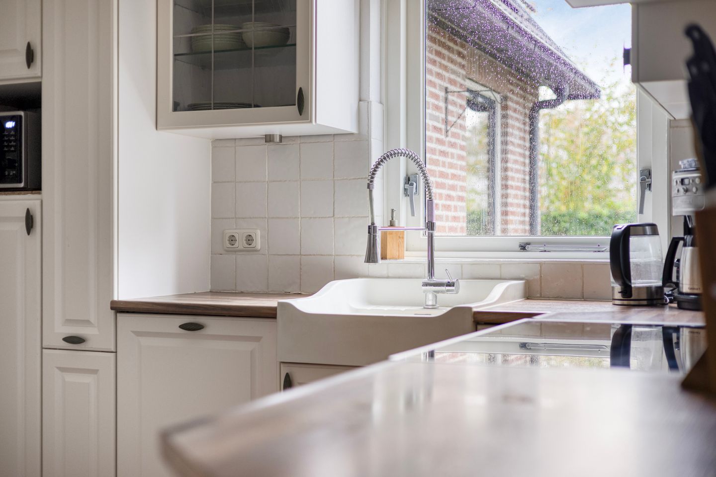 Foto 25 van Leeuwetand 1