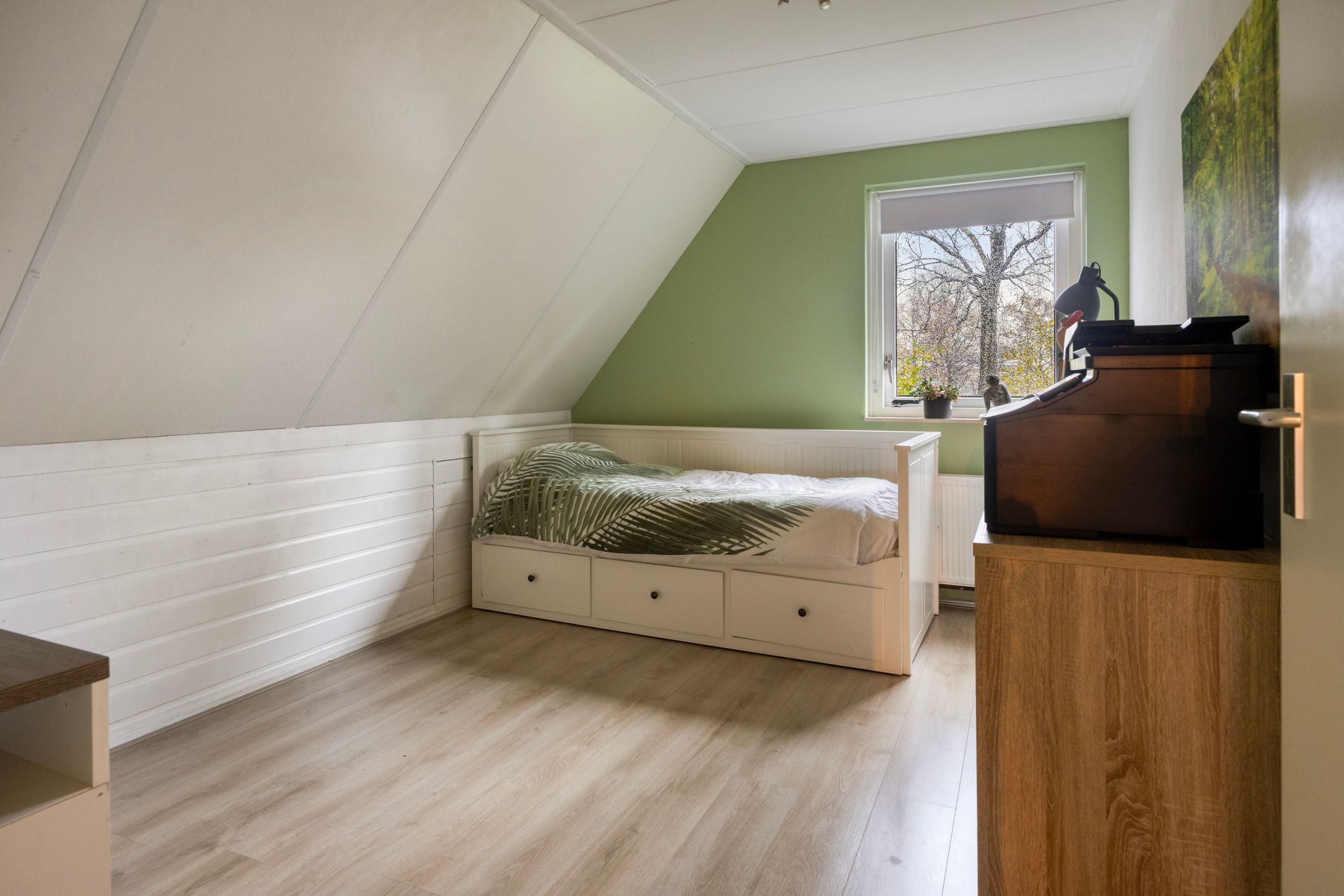 Foto 27 van Leeuwetand 1