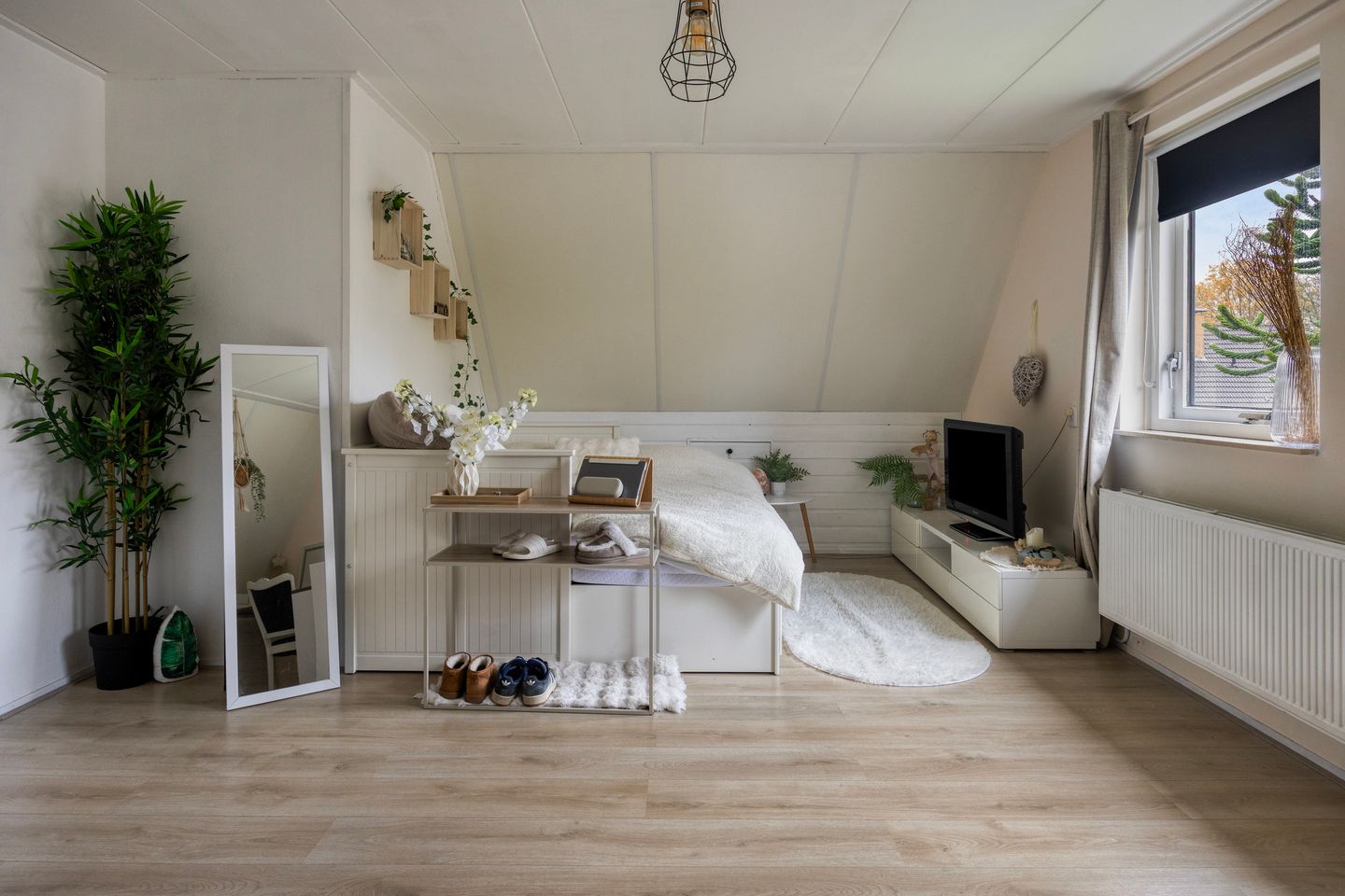 Foto 29 van Leeuwetand 1