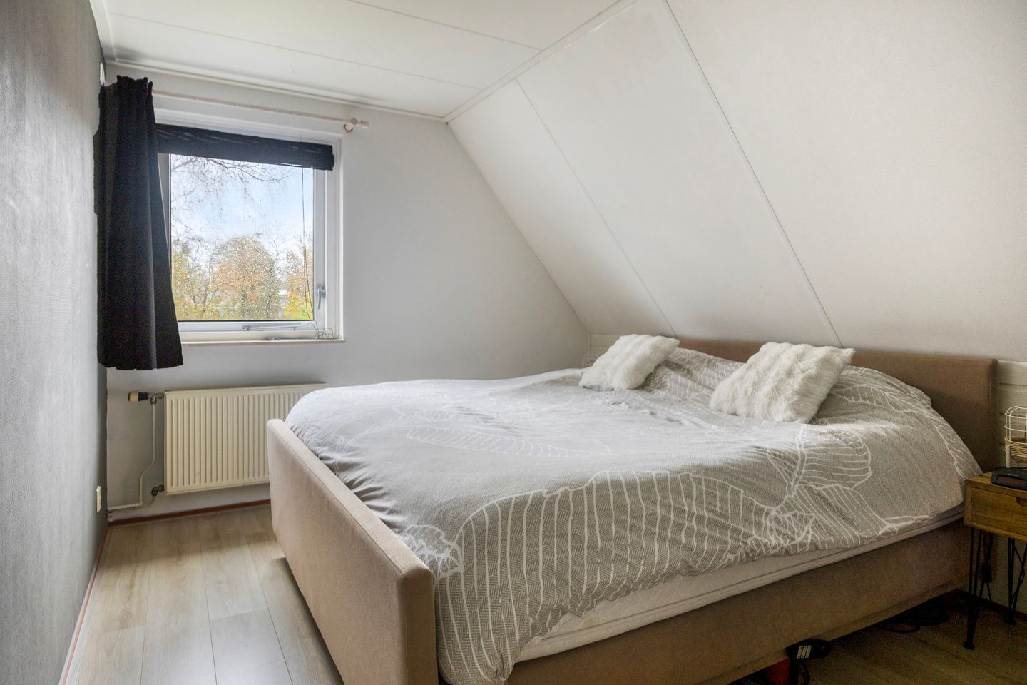 Foto 34 van Leeuwetand 1