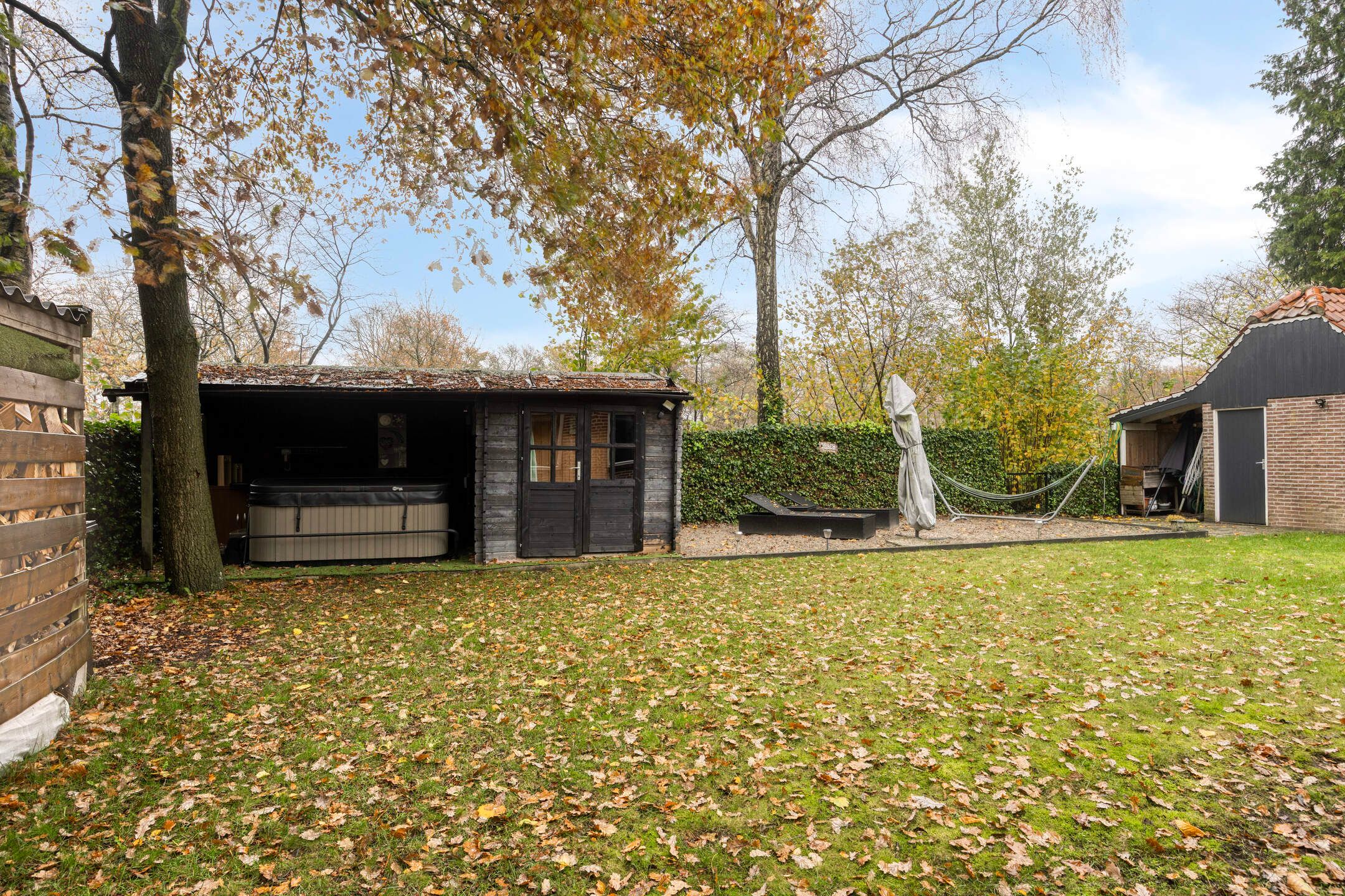 Foto 36 van Leeuwetand 1