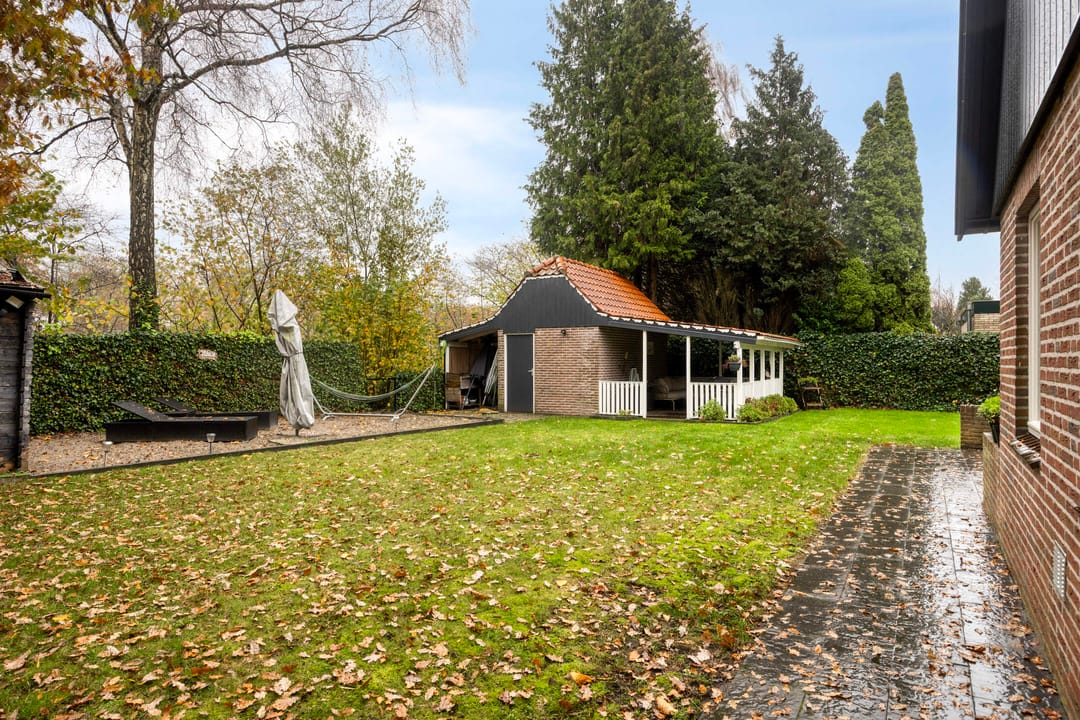 Foto 37 van Leeuwetand 1