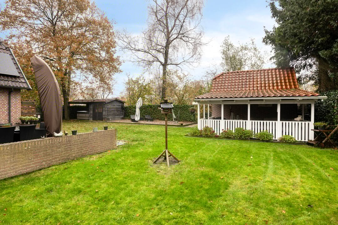 Foto 38 van Leeuwetand 1