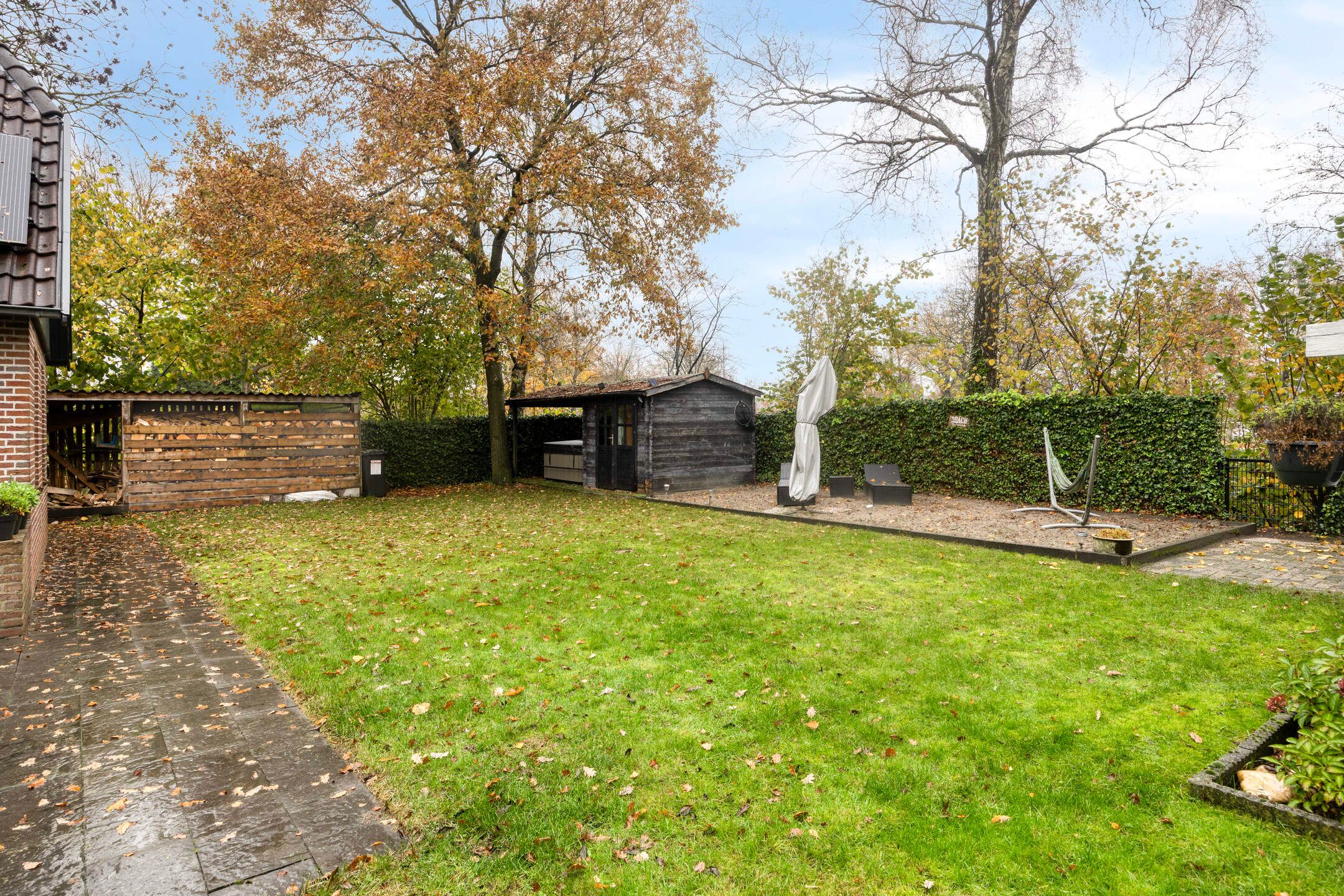 Foto 39 van Leeuwetand 1