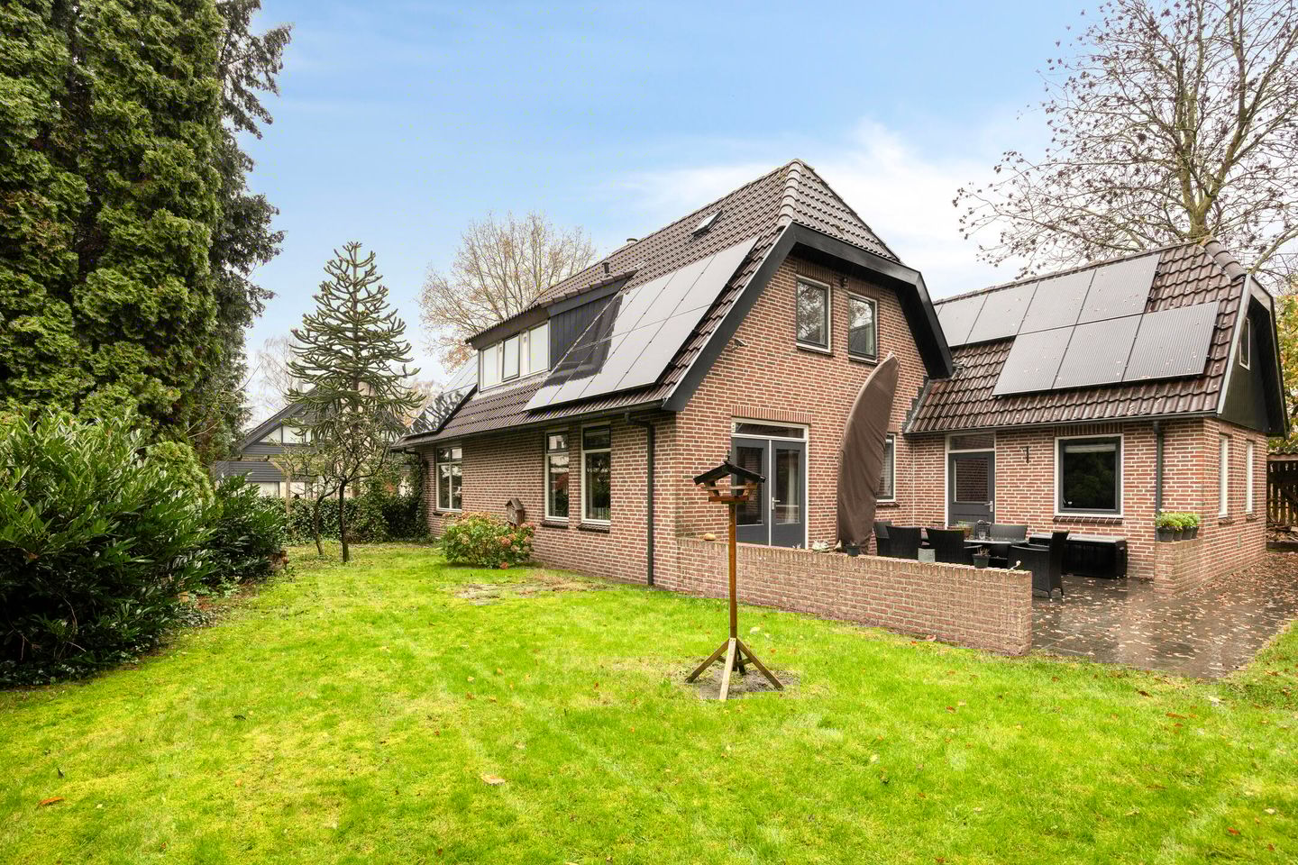 Foto 40 van Leeuwetand 1