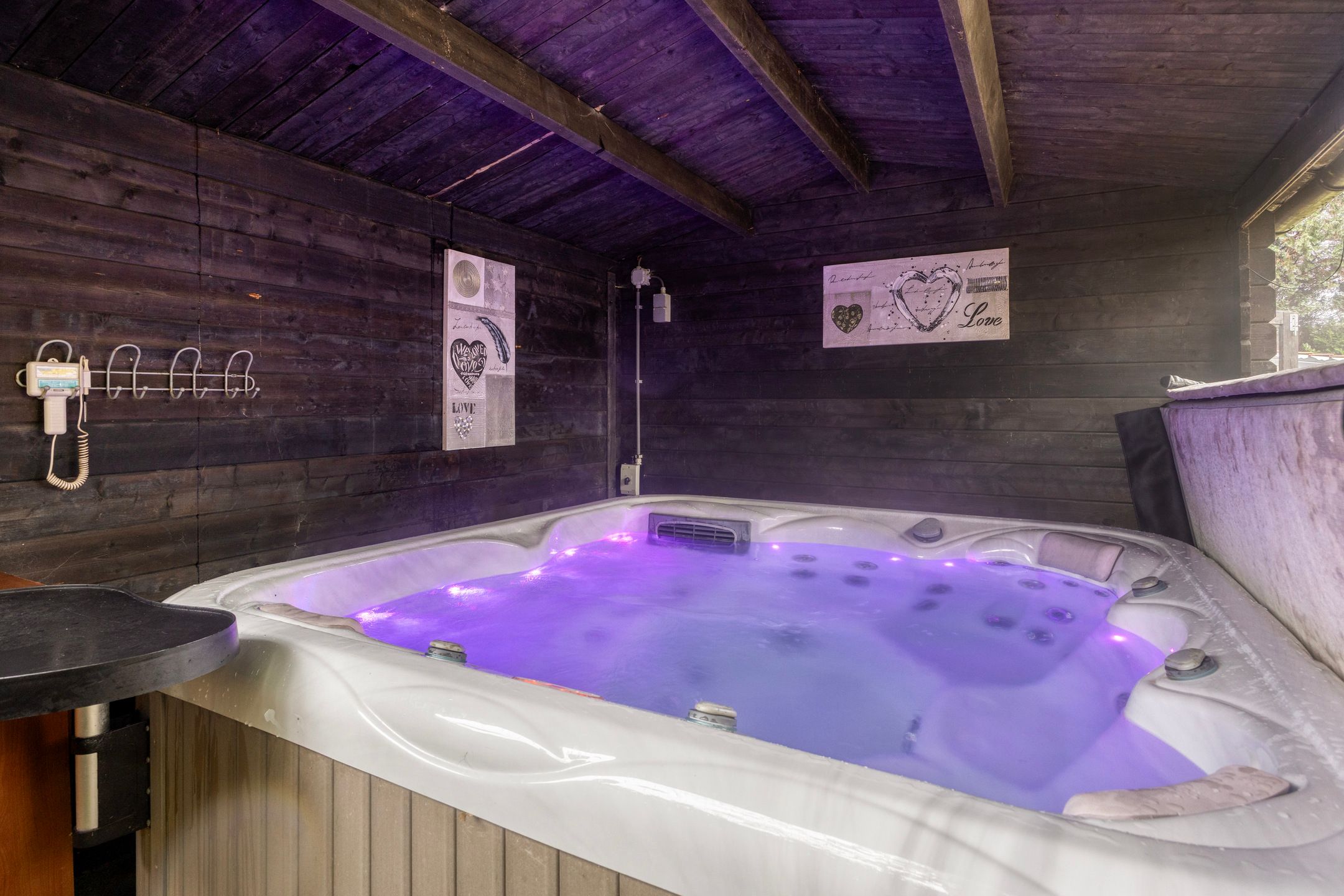 Foto 45 van Leeuwetand 1