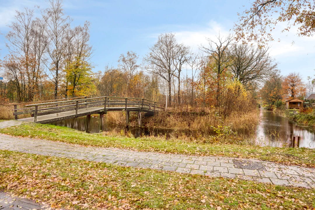 Foto 46 van Leeuwetand 1