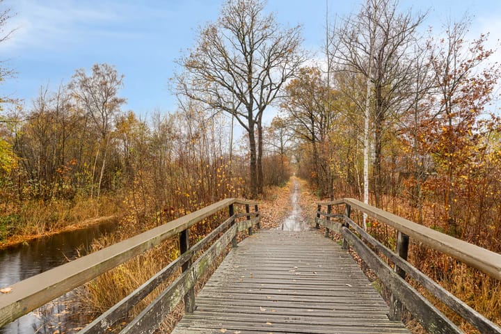 Photo 47 of Leeuwetand 1