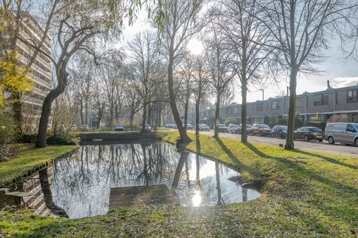 Foto 2 van Burghsluissingel 157