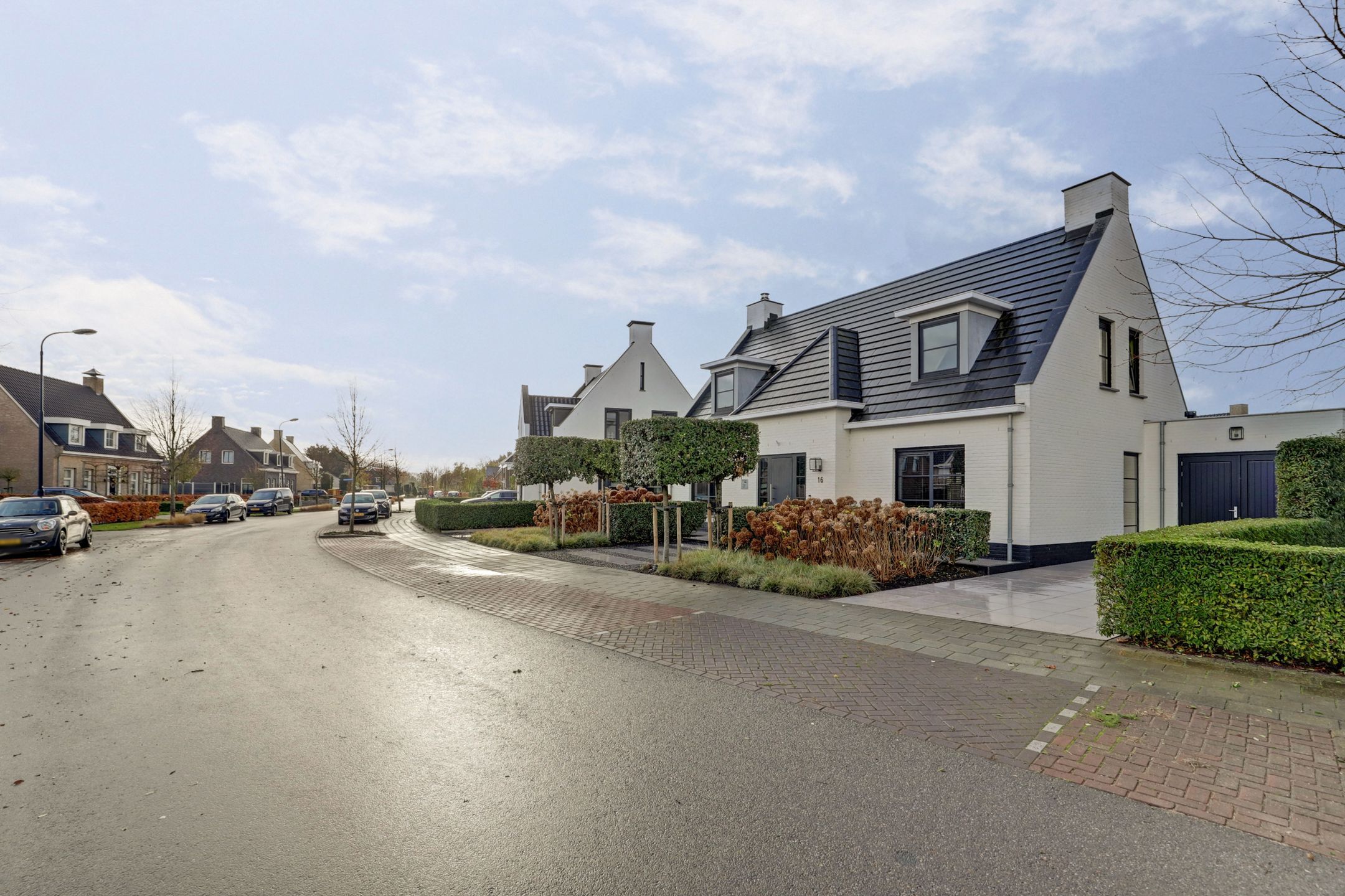 Photo 48 of Ferdinand Bollaan 16