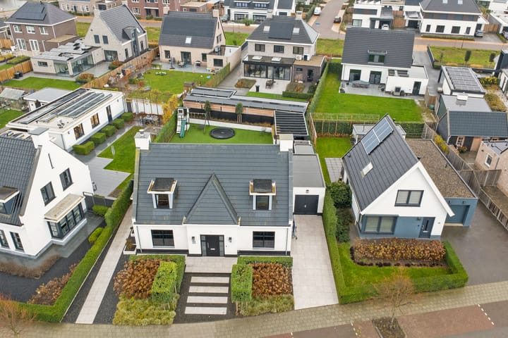 Photo 50 of Ferdinand Bollaan 16