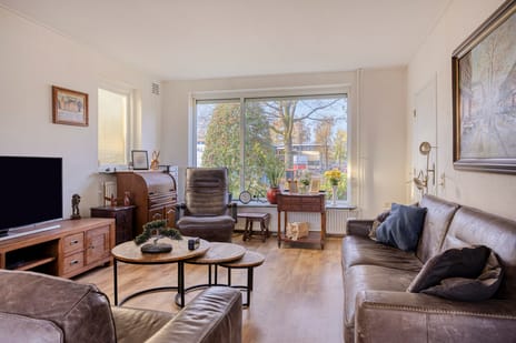 Anemoon 25 secondary image