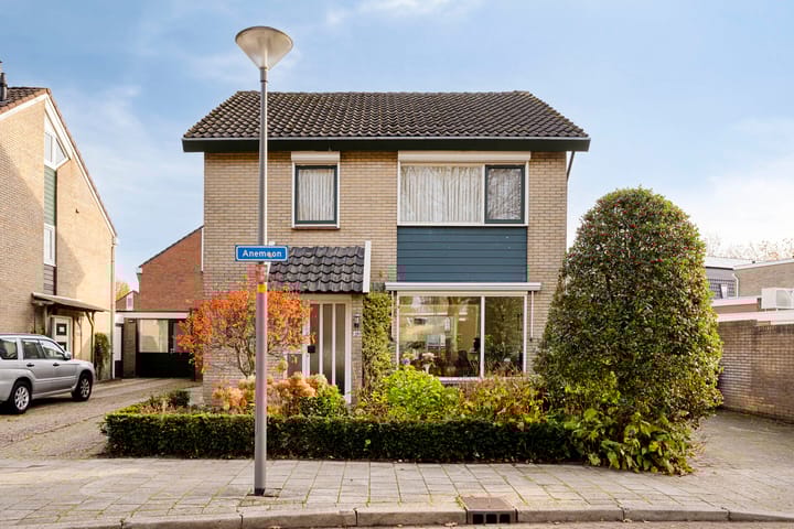 Foto 6 van Anemoon 25