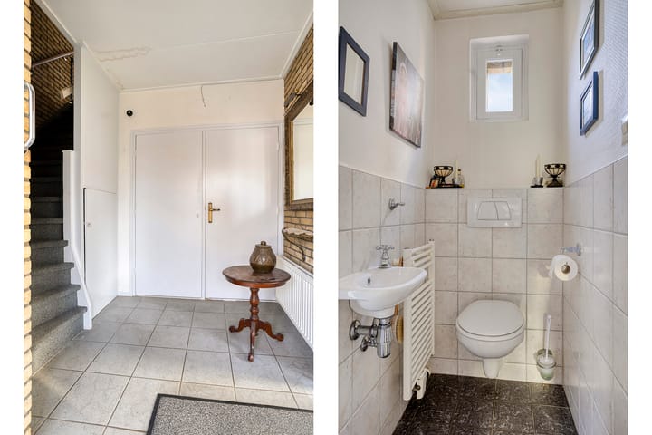 Foto 7 van Anemoon 25