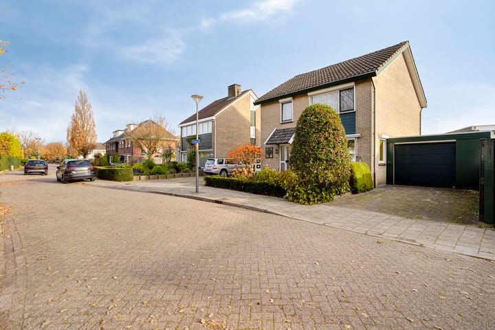 Foto 26 van Anemoon 25