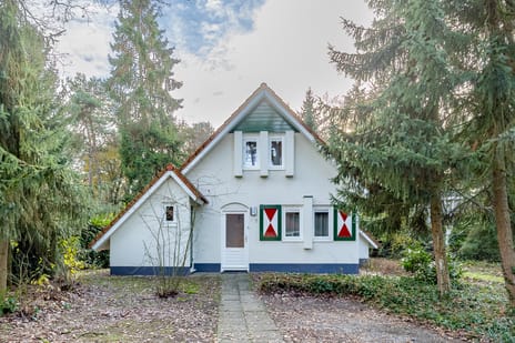 undefined main image