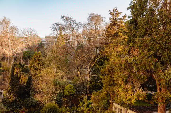 Foto 27 van Milletstraat 53-2