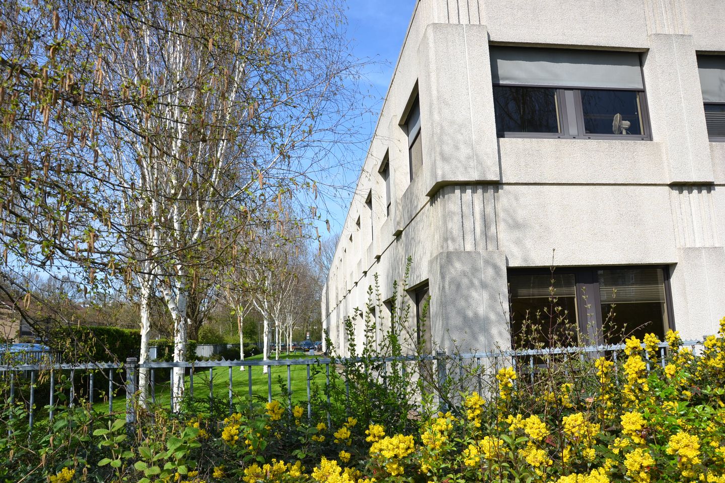 View photo 5 of Van Heuven Goedhartlaan 935