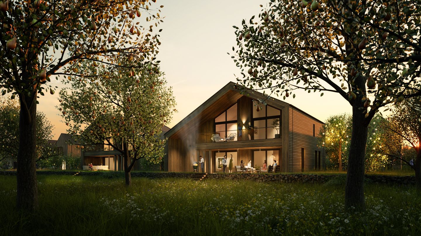 Photo 3 of Benedenerf