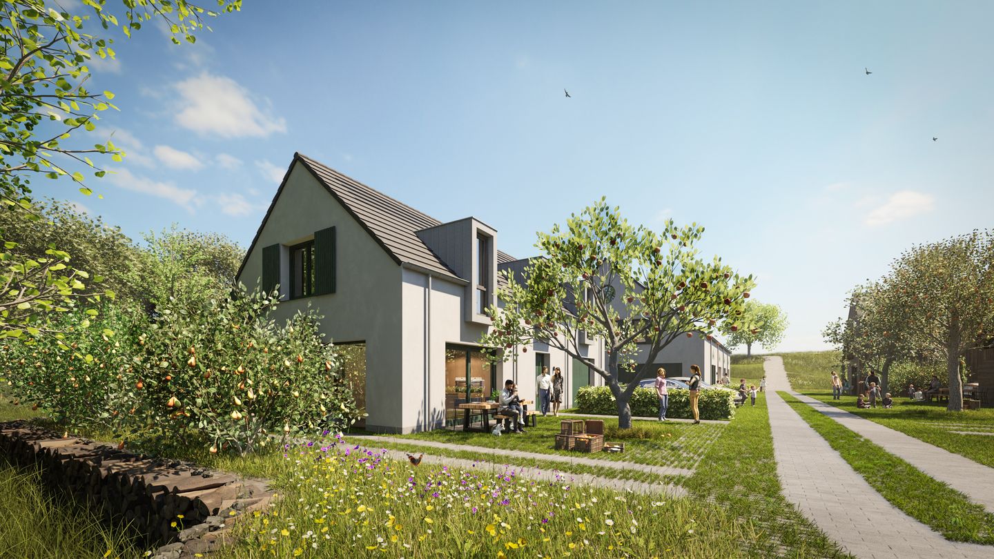 Photo 12 of Benedenerf