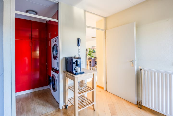 Photo 17 of Violier 3