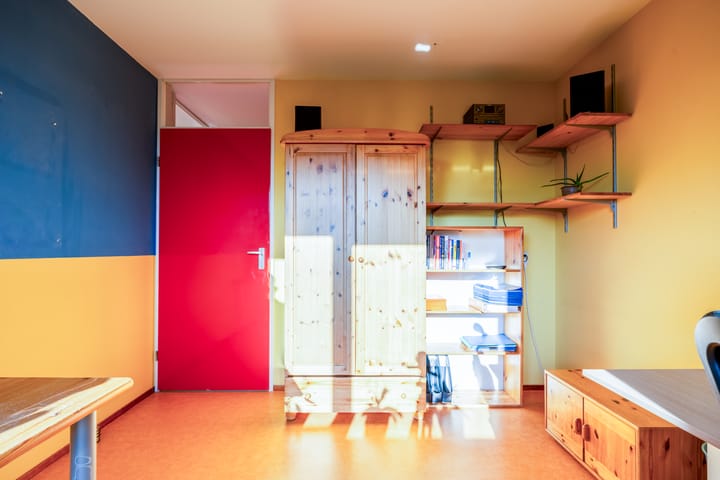 Photo 21 of Violier 3