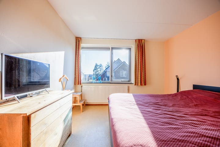 Photo 23 of Violier 3