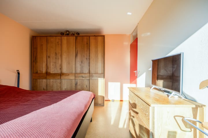 Photo 24 of Violier 3