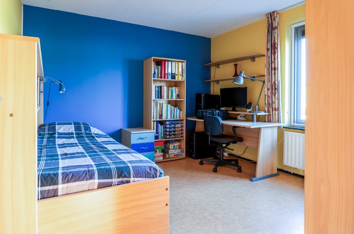 Photo 28 of Violier 3