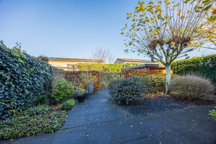 Photo 37 of Violier 3