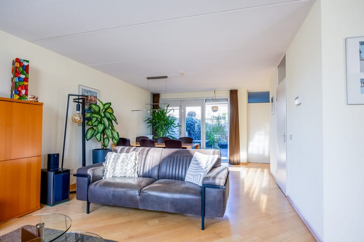 Photo 10 of Violier 3