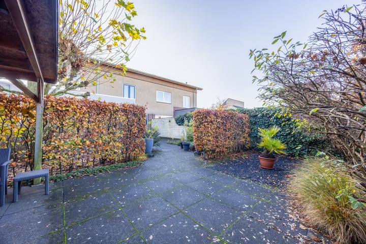 Photo 39 of Violier 3