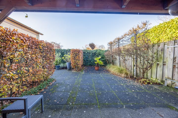 Photo 40 of Violier 3