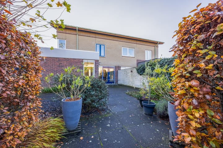 Photo 41 of Violier 3