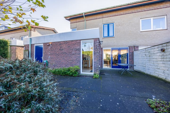 Photo 42 of Violier 3