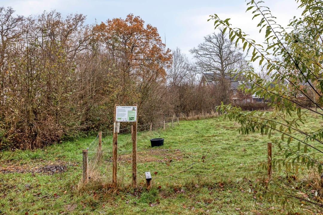 Foto 43 van J.G. Bastiaansstraat 18