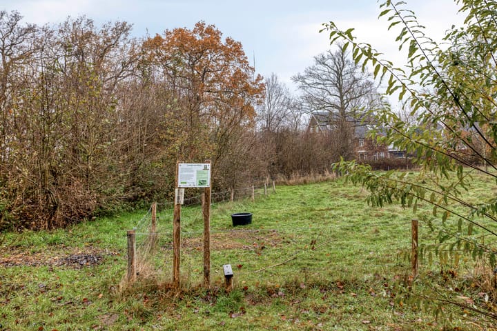 Photo 43 of J.G. Bastiaansstraat 18